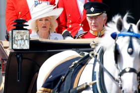 King Charles and Camilla Bowles