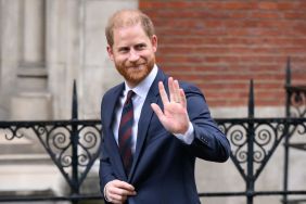 Prince Harry's UK Return Would Come With Limits & Here's Why — Source