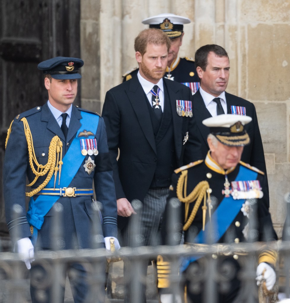 Prince Harry and Prince William 