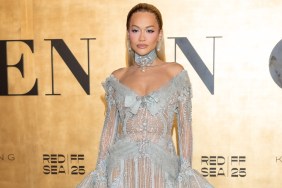 Rita Ora Wearing Sheer Dress Has Fans Obsessed